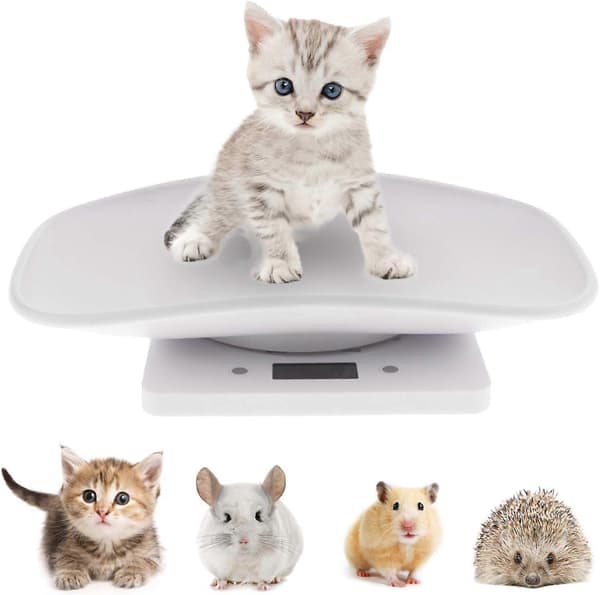 Digital Dyrevekt for Hunder og Katter Opptil 10KG, Multifunksjonell LCD-Skjerm Digital Vekt