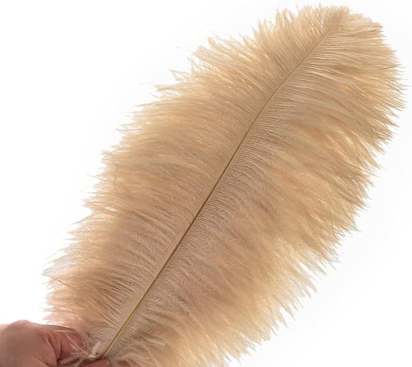 24 stykker 25-30 cm (10-12 tommer) naturlige hvide strudsefjer til