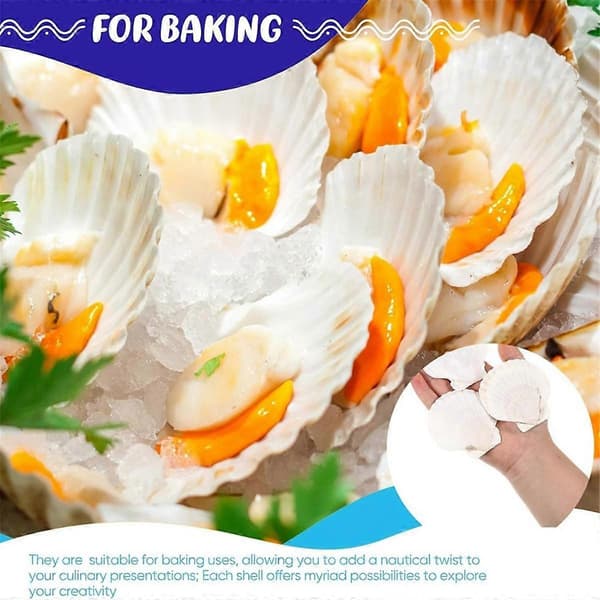 100 Pcs Seashells for Crafts Natural Large Scallop Shells White Oyster Shells Bulk for Decorating DIY Home Beach