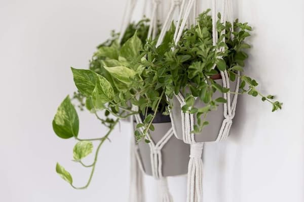 QueHouse Makrame Garnblomsterpotte Dekorasjon - Veggdekor Boho Blomst