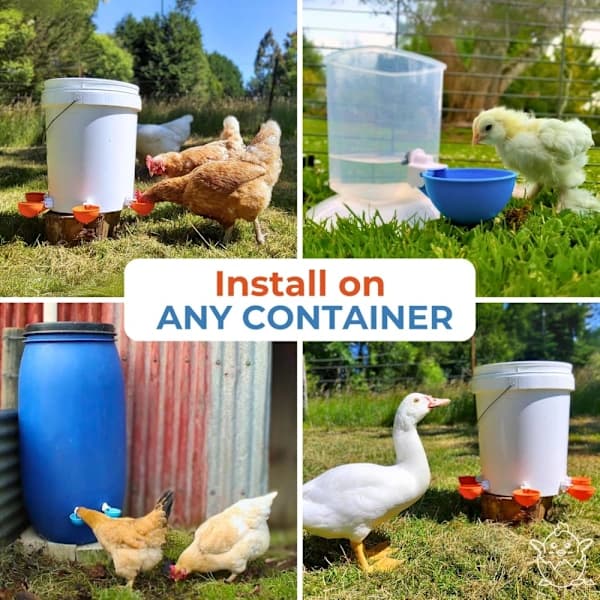 Blue Automatic Water Cup for Chickens, Ducks, Geese, Turkeys, and Rabbits, Waterer Kit, Poultry Waterer, 5-Pack
