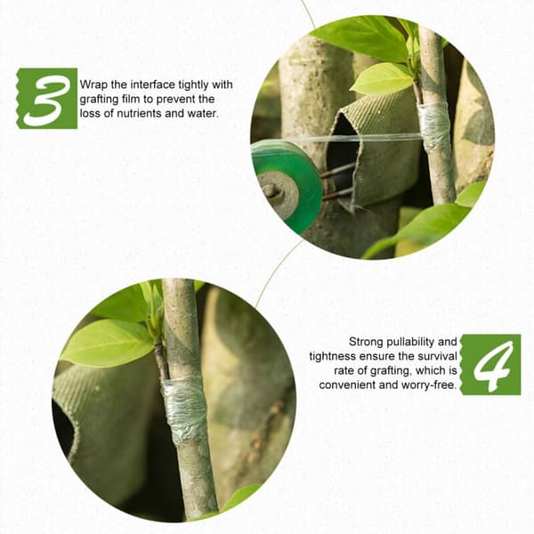 Grafting Tape Garden Tree Stretch Film Self-Adhesive Waterproof for Fruit Trees, DUBUNS