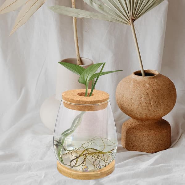 Sukkulenter glasvase af glas og træ til blomsterarrangementer
