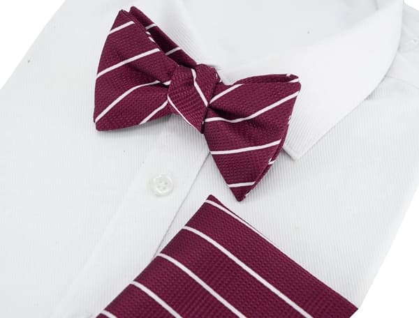 TS04 butterfly til mænd med lommetørklæde og Gr. one size, bordeaux -