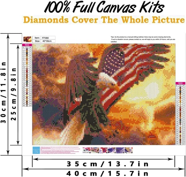 Flying Eagle Adult Beginner DIY 5D Diamond Painting Kit, Artistic Round Full Diamond Gift, Wall Decor 12x16 Inch