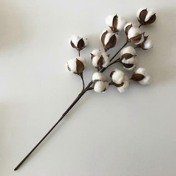 1 gren med 50 cm bomullsstilker bomullsgren kunstige tørkede blomster hjem bryllupsdekor