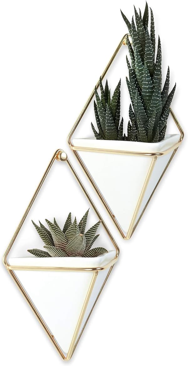 Hängande planter och geometrisk väggdekor för små växter, suckul