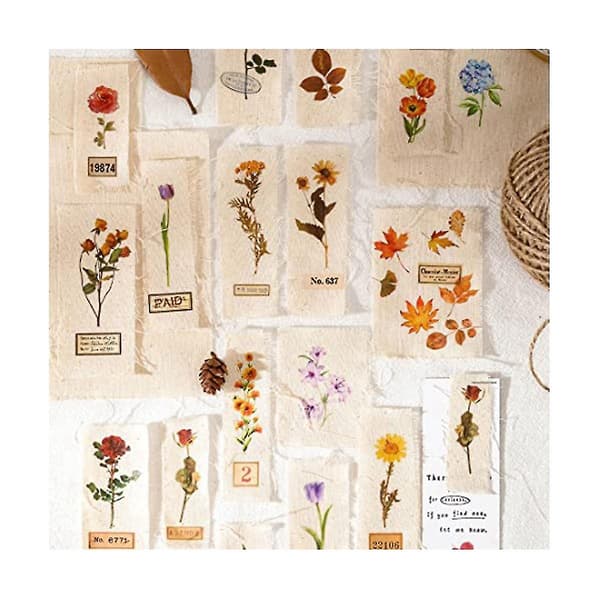 12 Ark med Vintage Rub On Transfer Blomster Blade Dekaler 12 Ark Linned, Transparent Rub On Transfer Blomst
