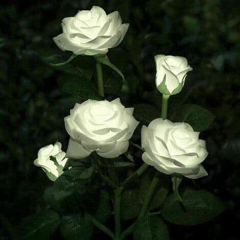 1 Blomster Solar Hagelampe med 5 Roseformede Hoder - LED-lys (Hvit)