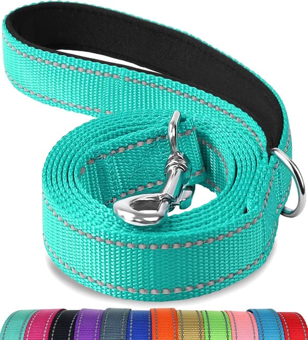 Turquoise Blue, 6ft Double-Sided Reflective Dog Leash, 6ft/5ft/4ft, Nylon Lined Handle for Walking Medium and Large Dogs,