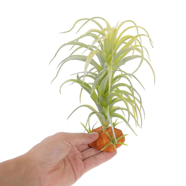 Habitat Kunstige Planter Reptil Terrarium Dekor Reptil Tank Planter Dekor Tilbehør