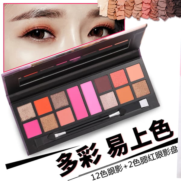 14 Colors Waterproof Matte Glitter Eyeshadow Blush Palette Makeup Cosmetics 4204 (02)