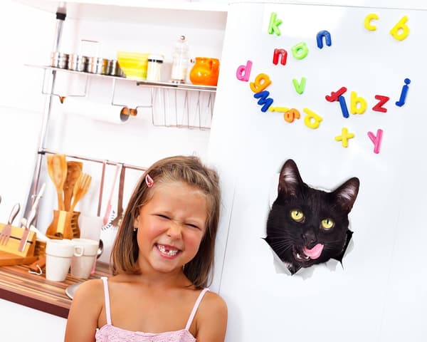 3D Cat Wall Decals 2-pack, Black Hungry Cat Stickers for Refrigerator & Car-FX-