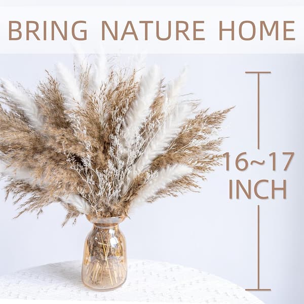 Torkade Blommor Arrangemang Set - 40 Stjälkar/Box, Pampasgräs, Harsvansar, Vassgräs för Boho Heminredning