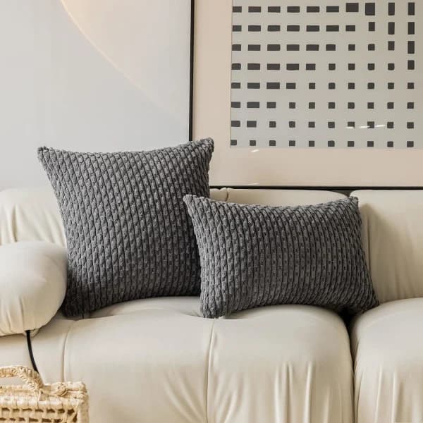 Sammet Kuddfodral Randigt Dekorativt Kuddfodral med Dold Dragkedja, Lämpligt för Hem/Soffa/Sovrum/Bil, 2-pack (30 x 50 cm Grått)