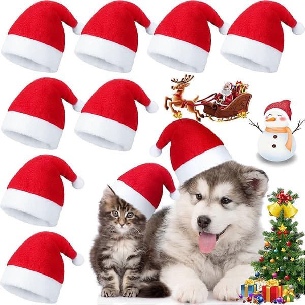Stykker Kæledyr Nissehue Hund Kat Jul