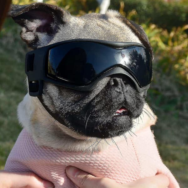 Dog Goggles Sunglasses Windproof Soft Frame For Small And Medium Puppies (red) T-x