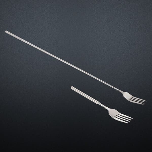 Extendable Stainless Steel Dinner Fork for BBQ, Fruit Desserts - Durable Long Handle