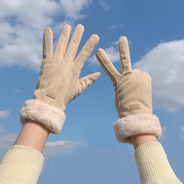 Vinterhandsker - Touchscreen Vinterhandsker - Vinterhandsker - Varme - Dame - Vindtætte - Vinterhandsker ...