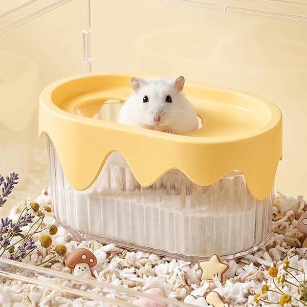Sandbadboks, for hamster, kattesandkasse, bad -