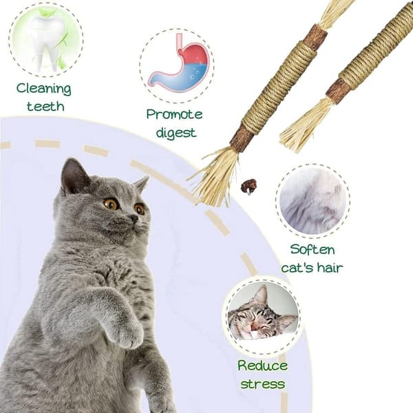 Kattugglepinner, Tannslipende gresstaver, Naturlige treleker for katter (2-pakning)