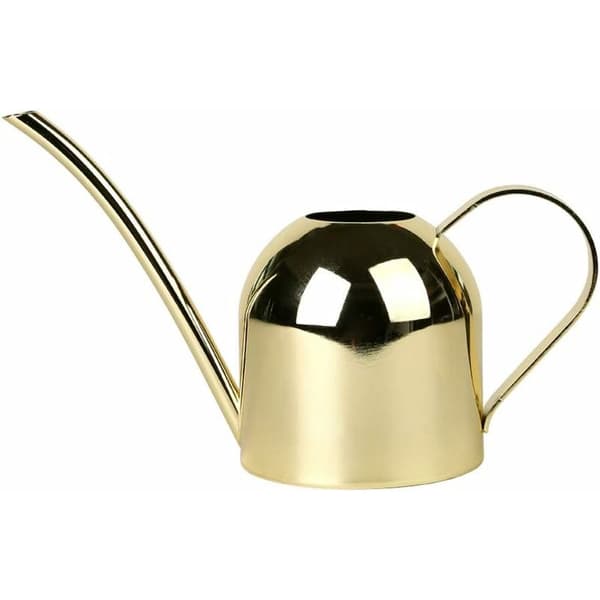 Vandkande i rustfrit stål til indendørs planter Hjem Lang tud Havevandkande til indendørs planter 500 ml (Guld)