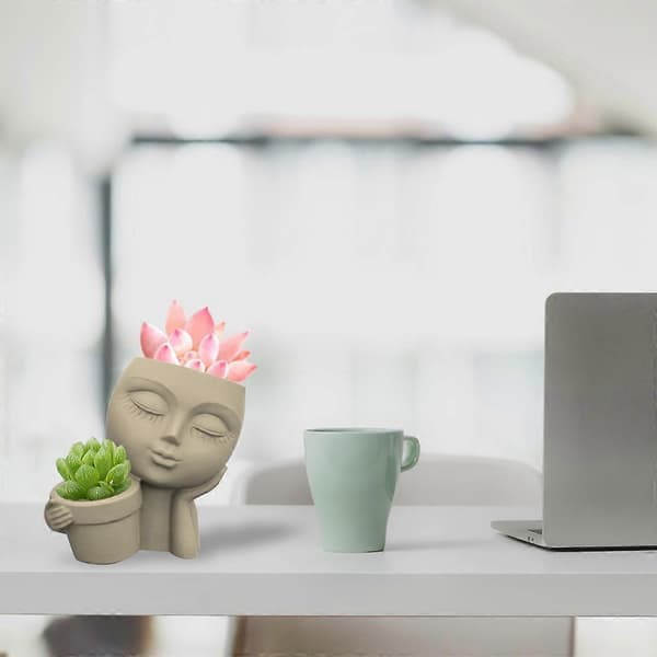 Sukkulenter Blomsterpotte Harpiks Silikoneform Velegnet til DIY Haveblomsterpotte
