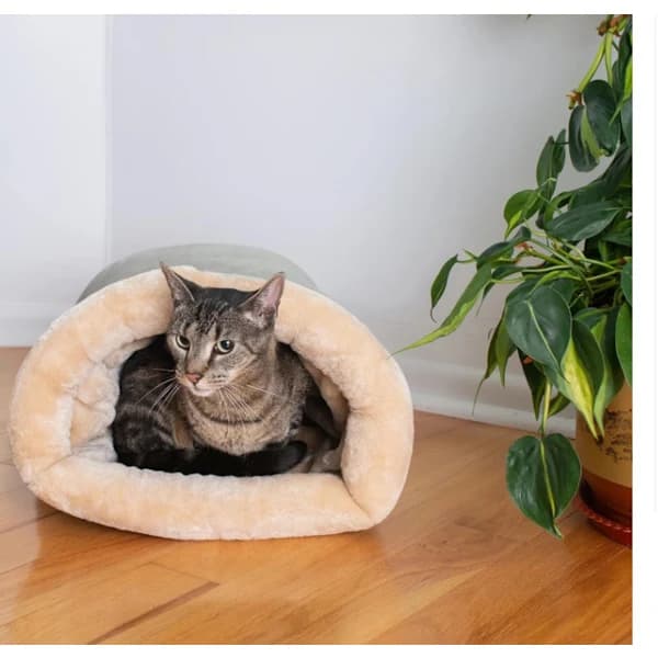 Katteseng - Kattekurv - Vintervarm - Dyrekurv - Høst/Vinter Hundeseng - Kjæledyrkatt - Valp - Katteseng - Varm - 65*48cm