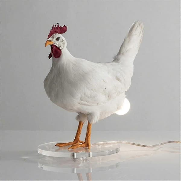 Kylling LED-lamper Æg Natlampe Taxidermi Kyllingeæg Skrivebordslampe Stil B