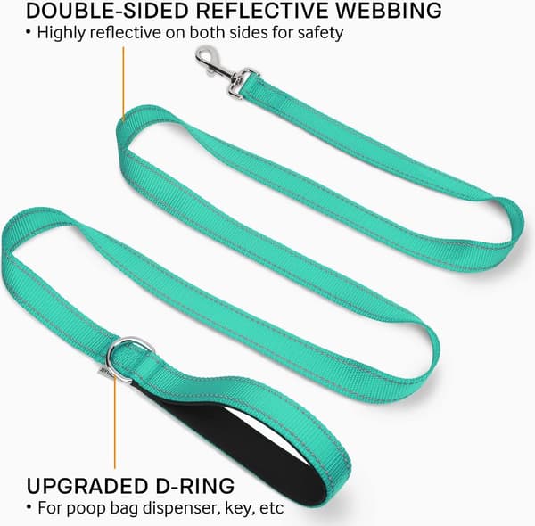 Turquoise Blue, 6ft Double-Sided Reflective Dog Leash, 6ft/5ft/4ft, Nylon Lined Handle for Walking Medium and Large Dogs,