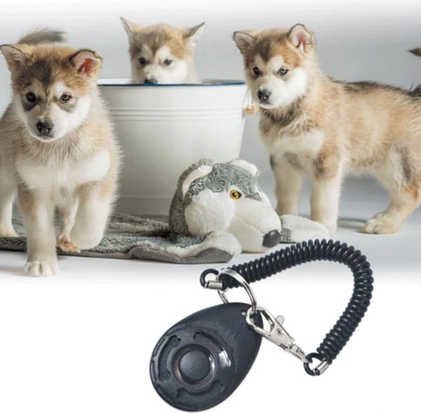 Dog Training Clicker with Large Button - Black, for Professional Pet Training (Dogs, Cats, Birds, Horses)