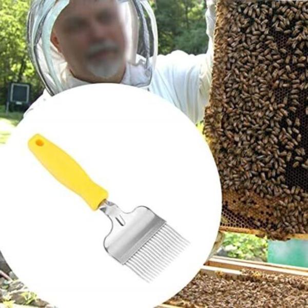 Stainless Steel Beehive Uncapping Fork for Beehive Frame, Beekeeping Honey Comb, Uncapping Tool (FMY)