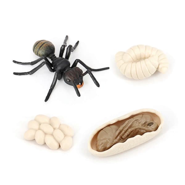 5x Simulation Ant Life Cycle Figures Fantasy Toy for Kids Black