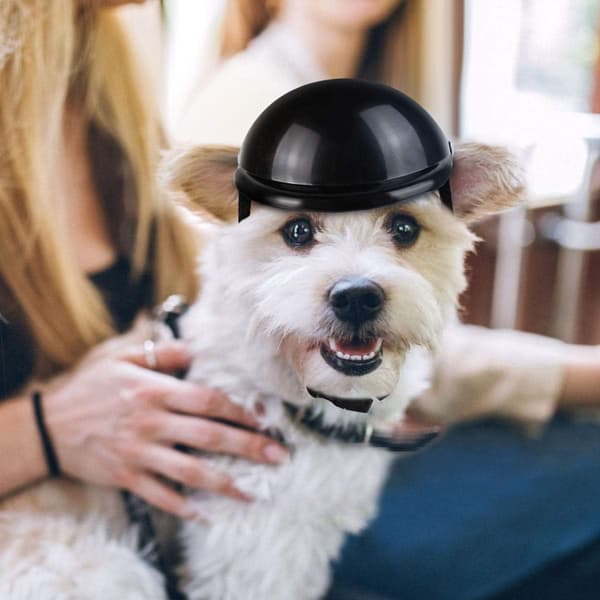 S-Black, Cool Pet Helmet Dog Hat Adjustable Puppy Cap