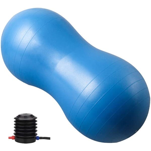 Peanut Ball - Anti-Burst Ball for Childbirth, Pediatric Physical Therapy, Core Strength, Home and Gym Workouts (Includes Pump)