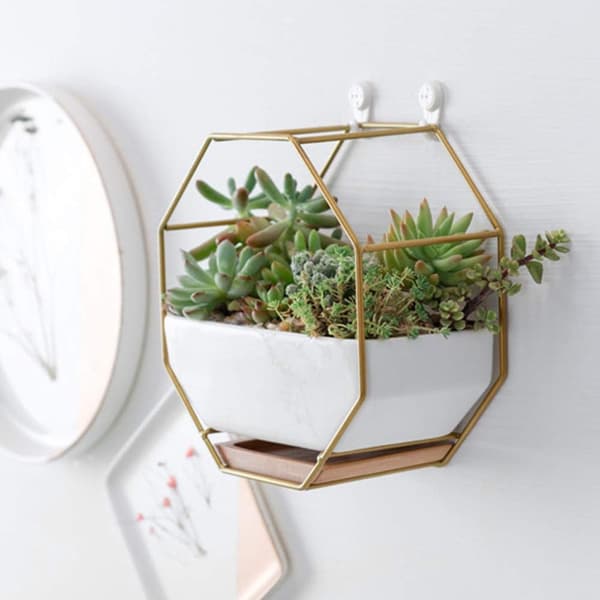 Blomsterpotteskjuler, Blomsterpotte, Vægblomsterpotte Geometrisk Sukkulent