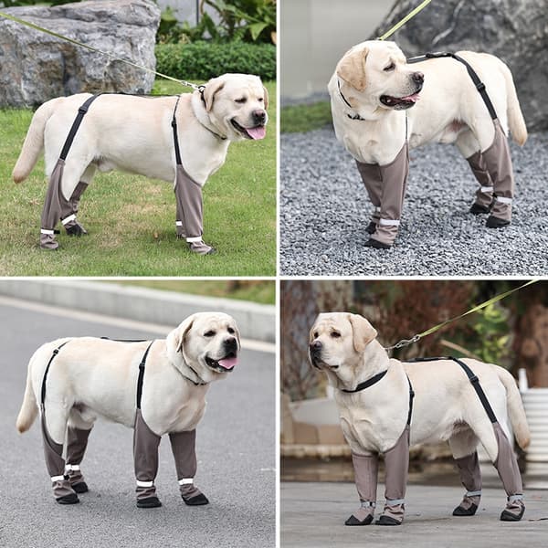 Anti-Drop & Warm Dog Boots: Protective Paw Wear for Large Breeds M M M