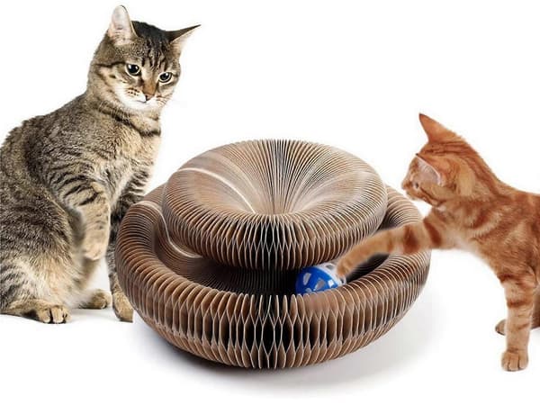 2 st Magisk Orgel Katt Klösbräda Kattleksak med Leksaksboll