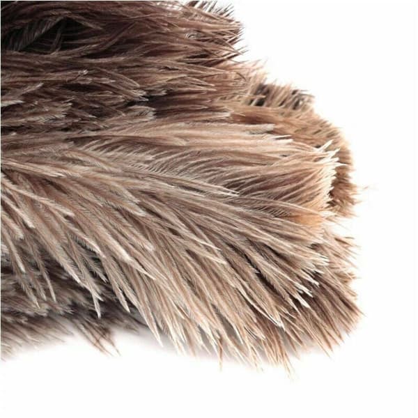 Soft Ostrich Feather Duster, 40 cm Length - High-Quality Cleaning Tool