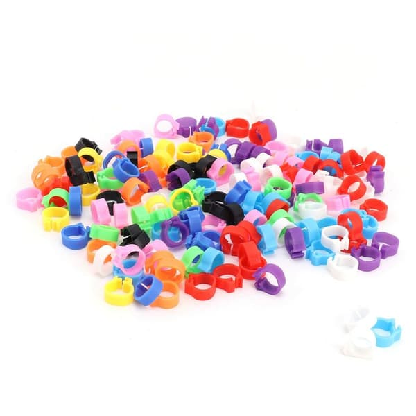 200 pcs 8mm Colorful Pigeon Leg Rings for Identification Without Text