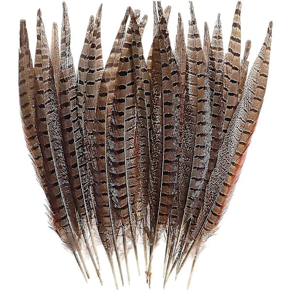 Natural Pheasant Tail Feathers Long Pheasant Feathers Decor DIY Carnival Supplies