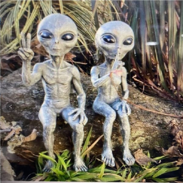 Alienfigur, Sæt med 2 Rumvæsenstatuer, Ekstra Terrest