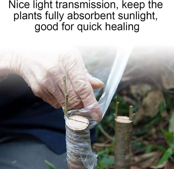 4 stk. podetape for plantereparasjon, gjennomsiktig og elastisk