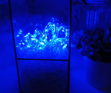 Blå 2 Innendørs Lyslenke 3M - 30 LED Lyslenke Soverom -