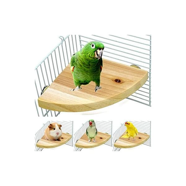 Wooden Fan-Shaped Perch Platform for Birds, Parrots, Hamsters, and Squirrels - Cage Accessories