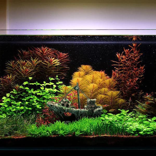 Akvariedekorasjon - Akvarietilbehør, Skipsvrak KLB
