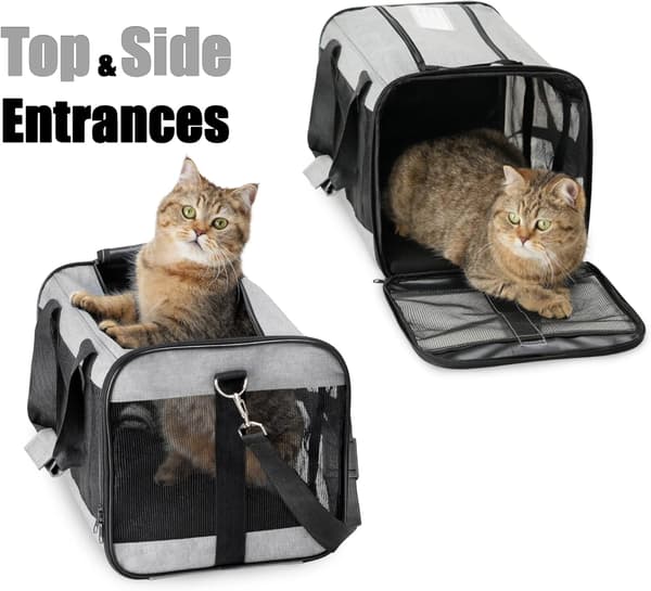 Pet Carrier, Soft Cat Carrier, Foldable, Durable, Airline Approved, Travel Friendly (42*28*28 cm, Grey) light gray light gray