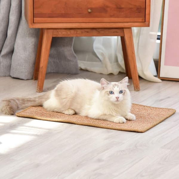 Naturlig Sisal Katt Repmatta Skyddar Mattor