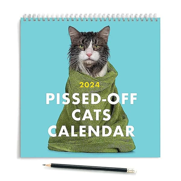 2024 Sur Kat Kalender - Rolig Vægkunst Kalender - Irriterede Katte