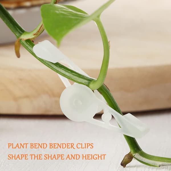 Plantebøjer 360 Grader Trægrenmodellering Værktøj Modulator Bonsai